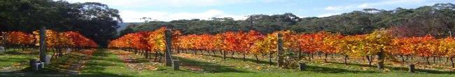 YarraGlen.com Home