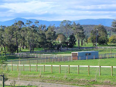 paddocks