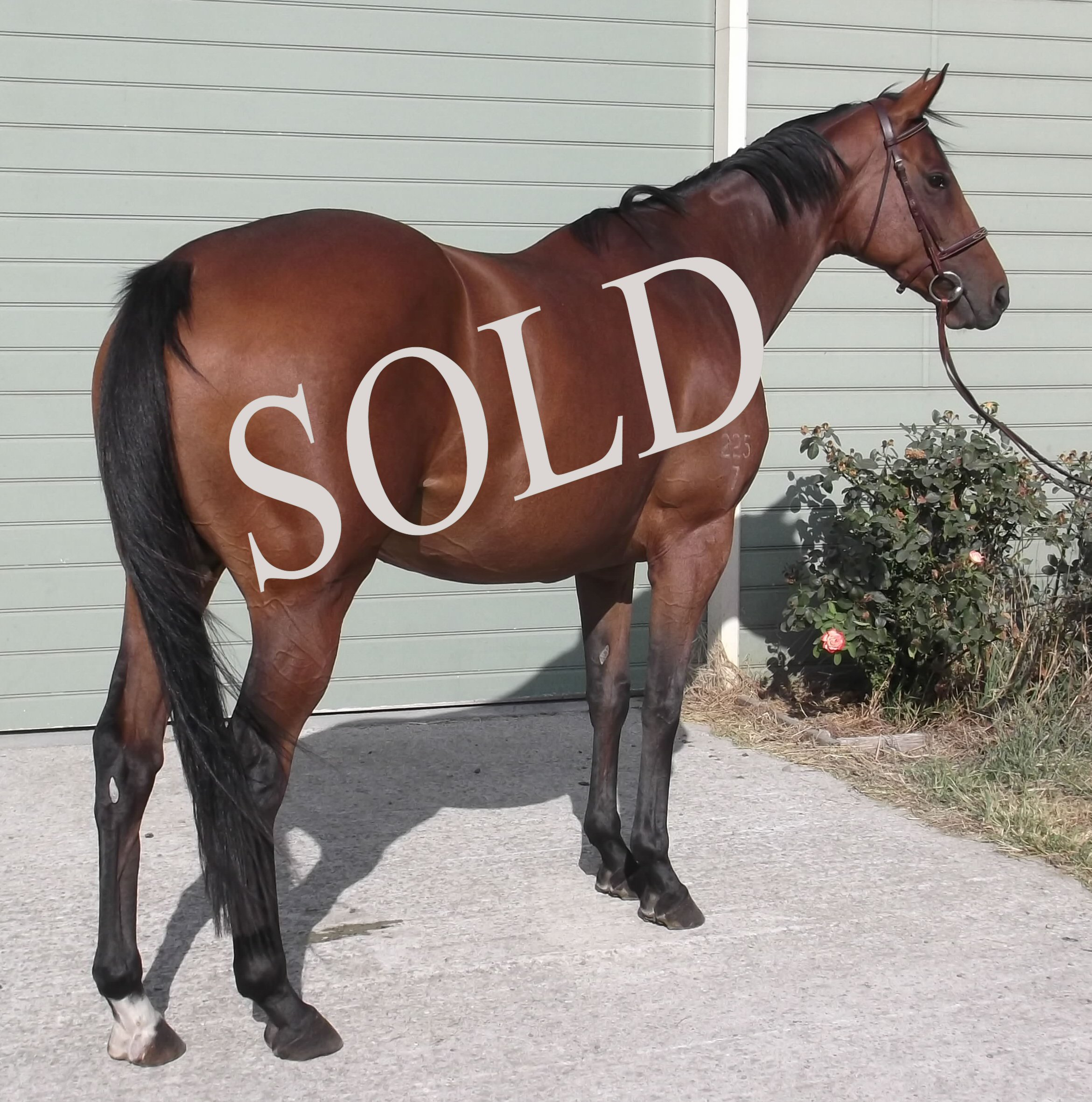 Click for more information