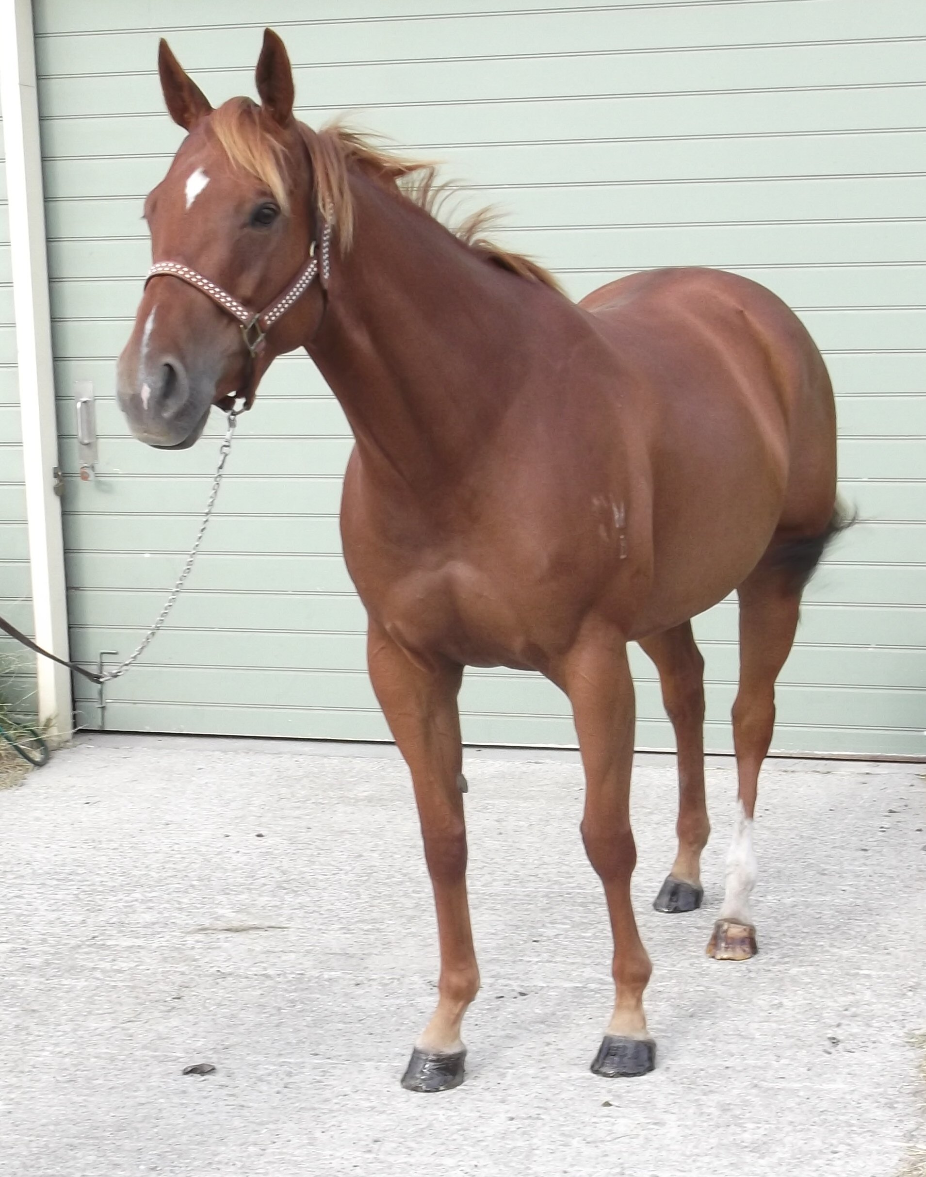 Click for more information